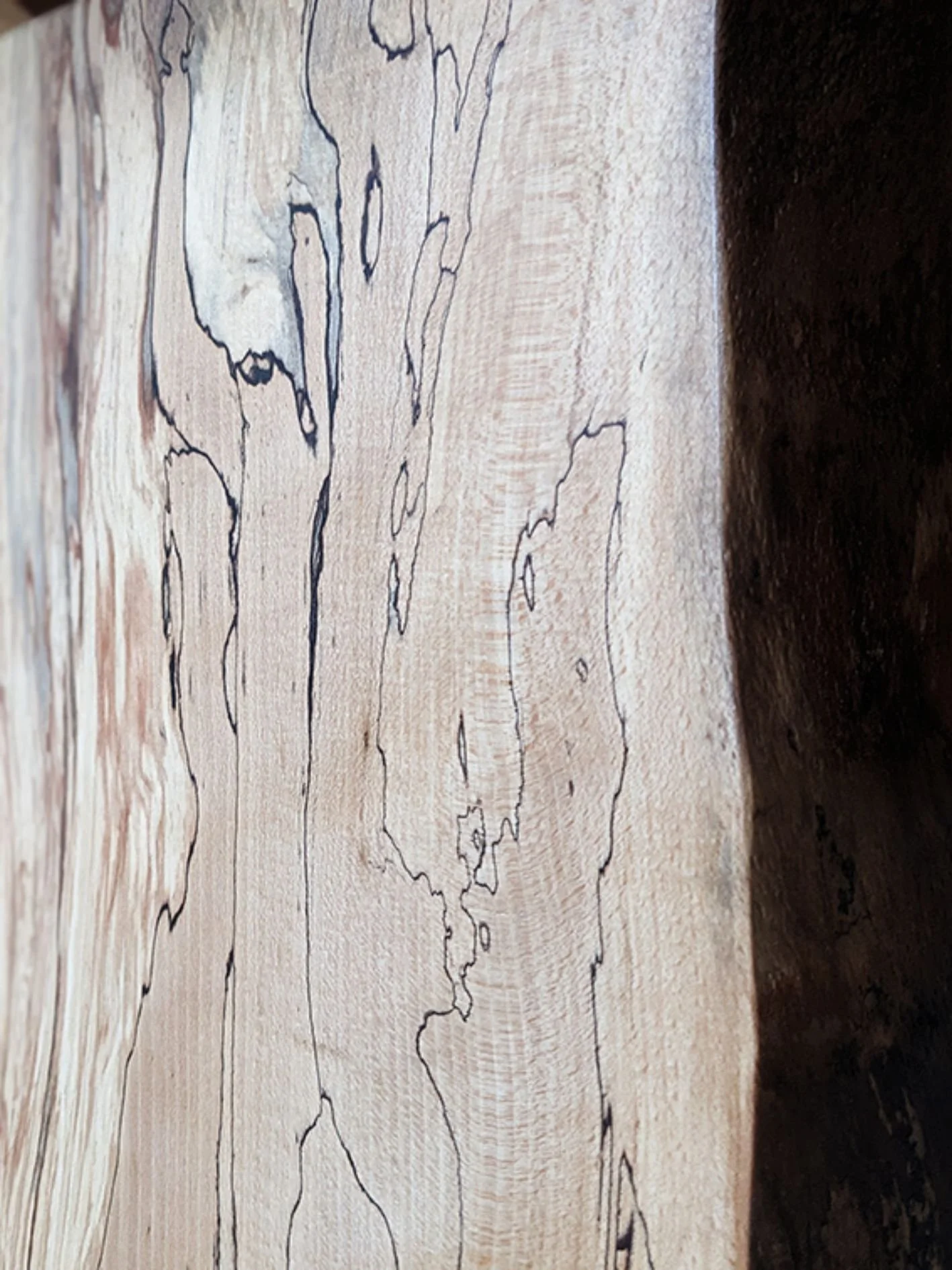 Spalted Beech edge - Carpenter & Cloth